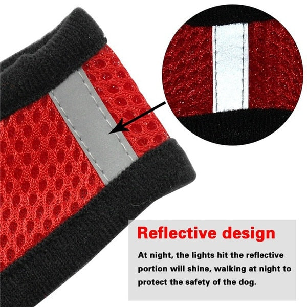 Adjustable Cat and Dog Harness with Leash - Premium Vest and Accessories