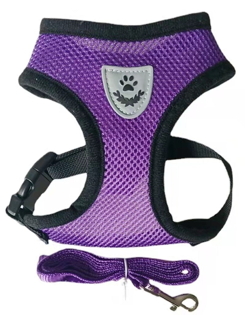 Adjustable Cat and Dog Harness with Leash - Premium Vest and Accessories