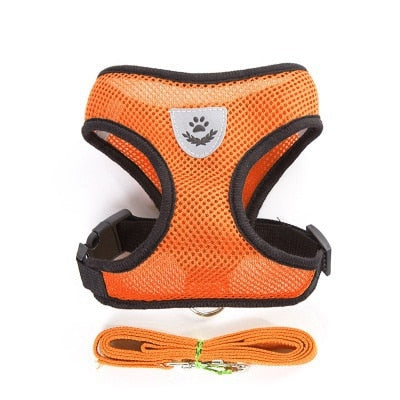 Adjustable Cat and Dog Harness with Leash - Premium Vest and Accessories