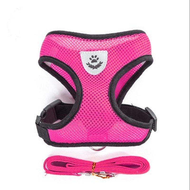 Adjustable Cat and Dog Harness with Leash - Premium Vest and Accessories