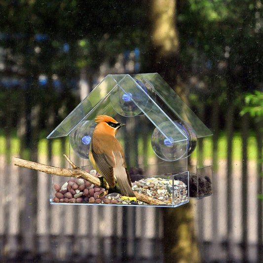 Clear Window Bird Feeder | Suction Cup Mount Birdhouse for Up-Close Bird Watching | Pet Supplies