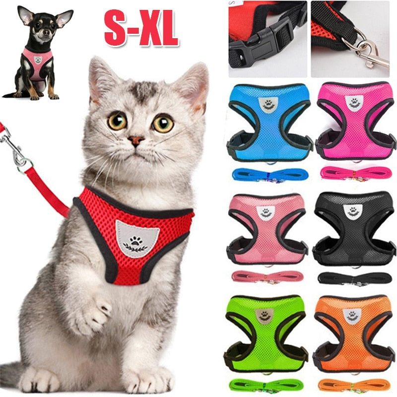 Adjustable Cat and Dog Harness with Leash - Premium Vest and Accessories